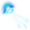 🪼
