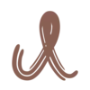 🤎