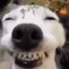 😁