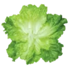 🥬