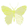 🦋