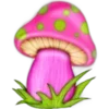 🍄