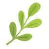 🌿