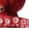 😀