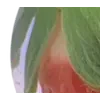 🎵