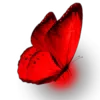 🦋