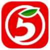 5️⃣