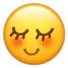 ☺