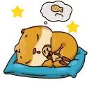 😴