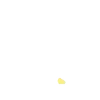 💛