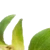 🥹