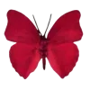 🦋