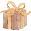 🎁