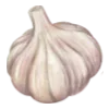 🧄
