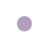 🟣