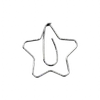 🌟