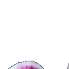 ⭐️