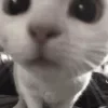 😗