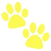 🐾