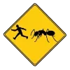 🐜