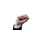 🥊