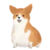 🐶