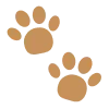 🐾