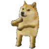 7️⃣