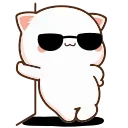 😎