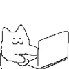 💻