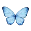 🦋