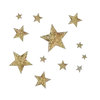🌟