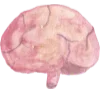 🧠
