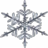 ❄️