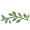 🌿