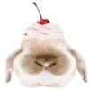 🐱
