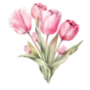 🌷