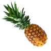 🍍
