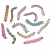 🪱