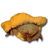 🎩
