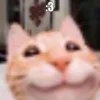 😸