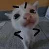😠