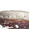 🍪