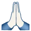 🙏
