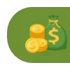 💸