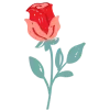 🌹