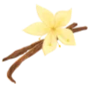 🌸