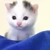 🥛