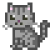🐈