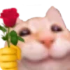 🌹